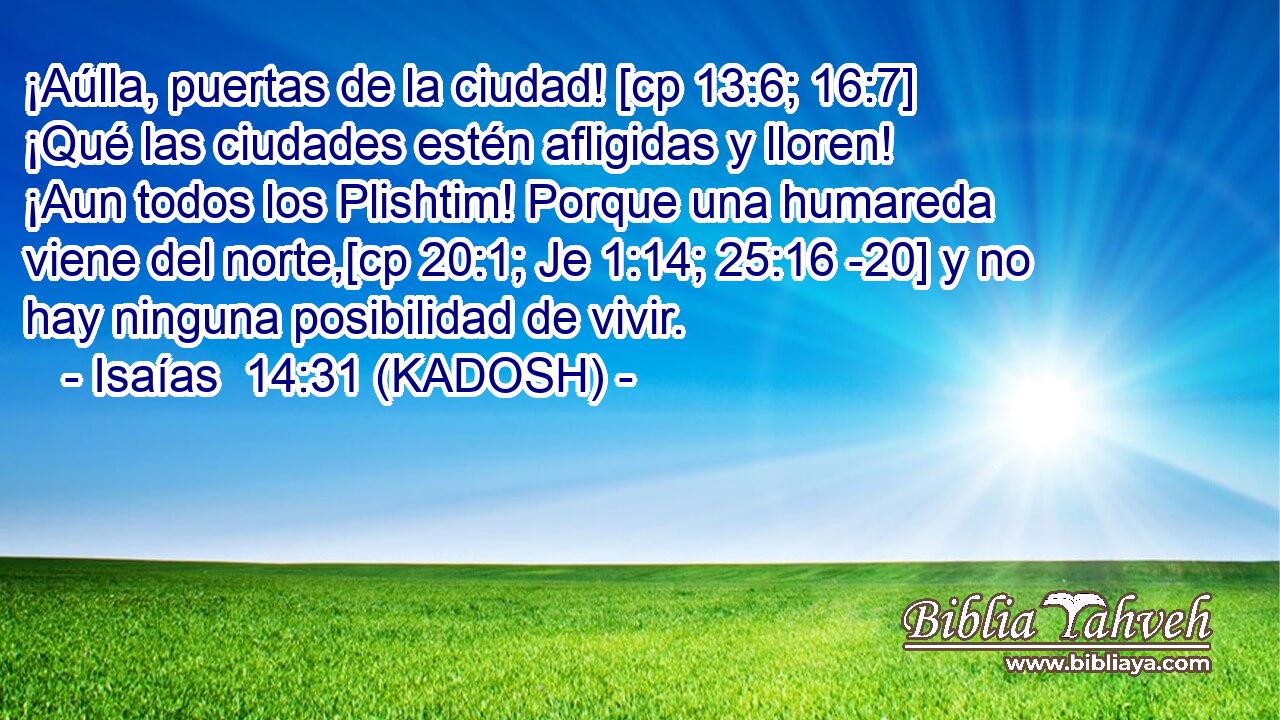  ¡Aúlla, puertas de la ciudad! [cp 13:6; 16:7] ¡Qué las ciudades estén afligidas y lloren! ¡Aun todos los Plishtim! Porque una humareda viene del norte,[cp 20:1; Je 1:14; 25:16 -20] y no hay ninguna posibilidad de vivir. 