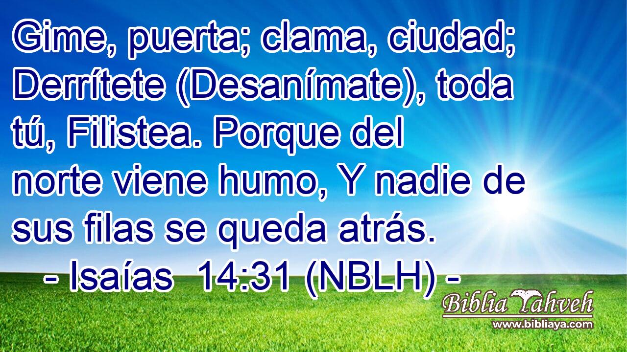  Gime, puerta; clama, ciudad; Derrítete (Desanímate), toda tú, Filistea. Porque del norte viene humo, Y nadie de sus filas se queda atrás. 