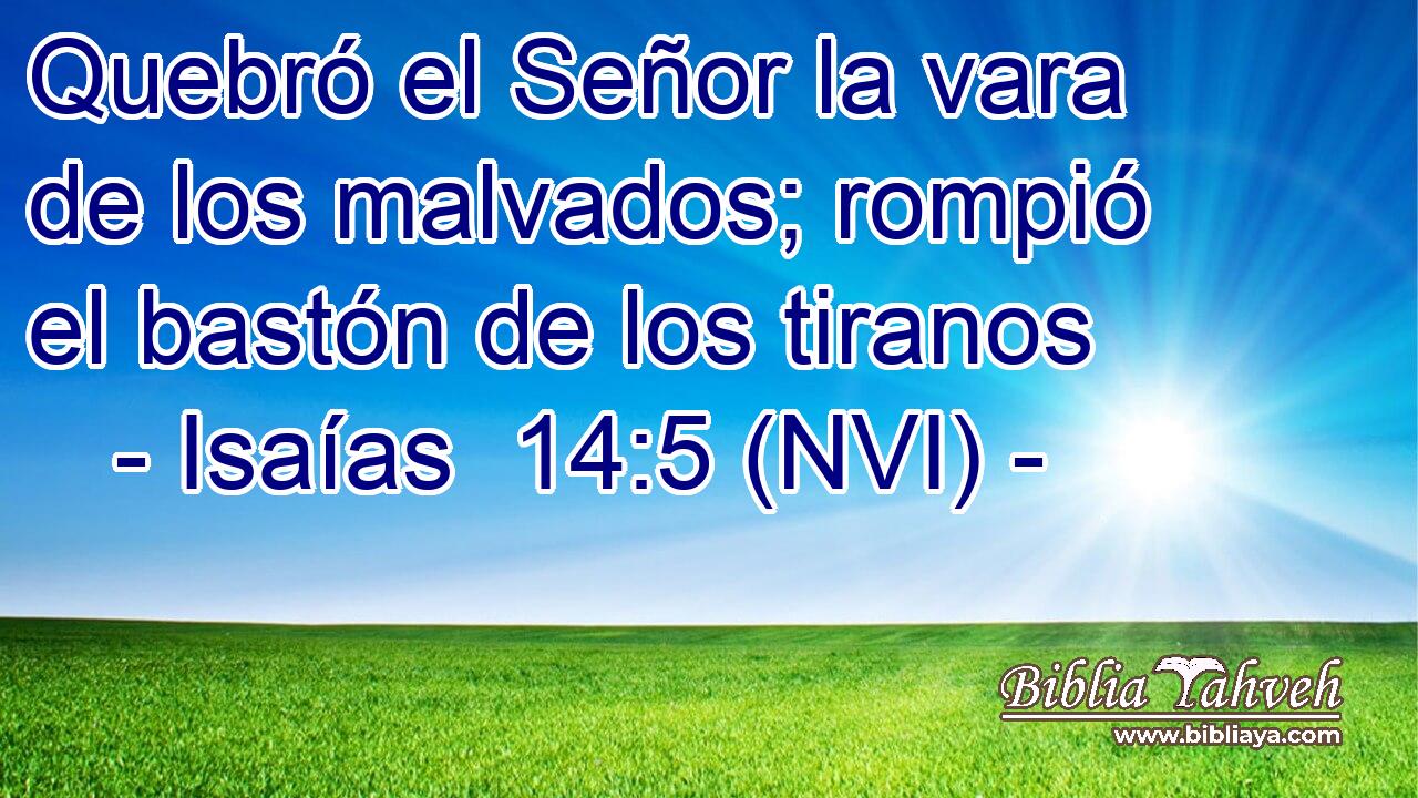  Quebró el Señor la vara de los malvados; rompió el bastón de los tiranos 