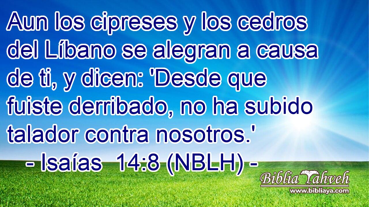  Aun los cipreses y los cedros del Líbano se alegran a causa de ti, y dicen: 'Desde que fuiste derribado, no ha subido talador contra nosotros.' 