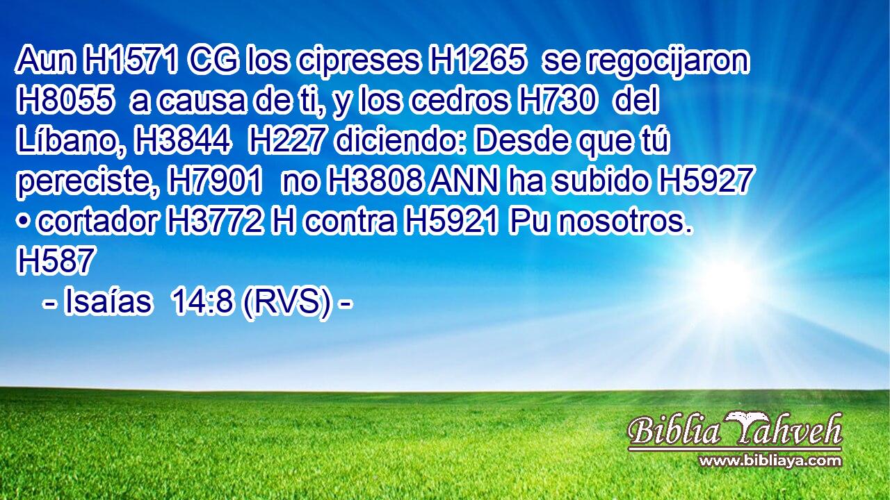 Aun H1571 CG los cipreses H1265  se regocijaron H8055  a causa de ti, y los cedros H730  del Líbano, H3844  H227 diciendo: Desde que tú pereciste, H7901  no H3808 ANN ha subido H5927  • cortador H3772 H contra H5921 Pu nosotros. H587  