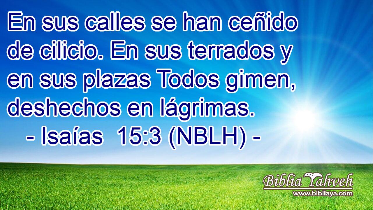  En sus calles se han ceñido de cilicio. En sus terrados y en sus plazas Todos gimen, deshechos en lágrimas. 
