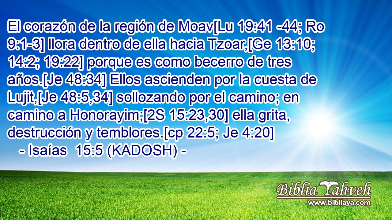  El corazón de la región de Moav[Lu 19:41 -44; Ro 9:1-3] llora dentro de ella hacia Tzoar,[Ge 13:10; 14:2; 19:22] porque es como becerro de tres años.[Je 48:34] Ellos ascienden por la cuesta de Lujit,[Je 48:5,34] sollozando por el camino; en camino a Honorayim;[2S 15:23,30] ella grita, destrucción y temblores.[cp 22:5; Je 4:20] 
