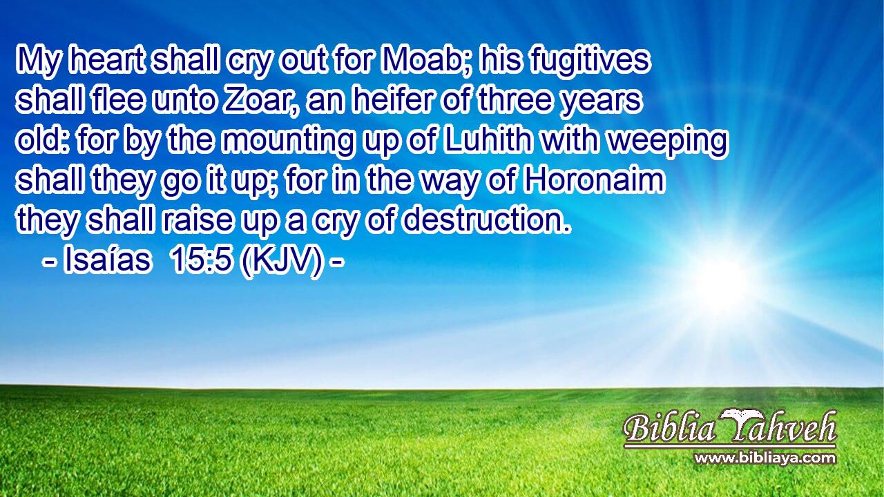 My heart shall cry out for Moab; his fugitives shall flee unto Zoar, an heifer of three years old: for by the mounting up of Luhith with weeping shall they go it up; for in the way of Horonaim they shall raise up a cry of destruction.