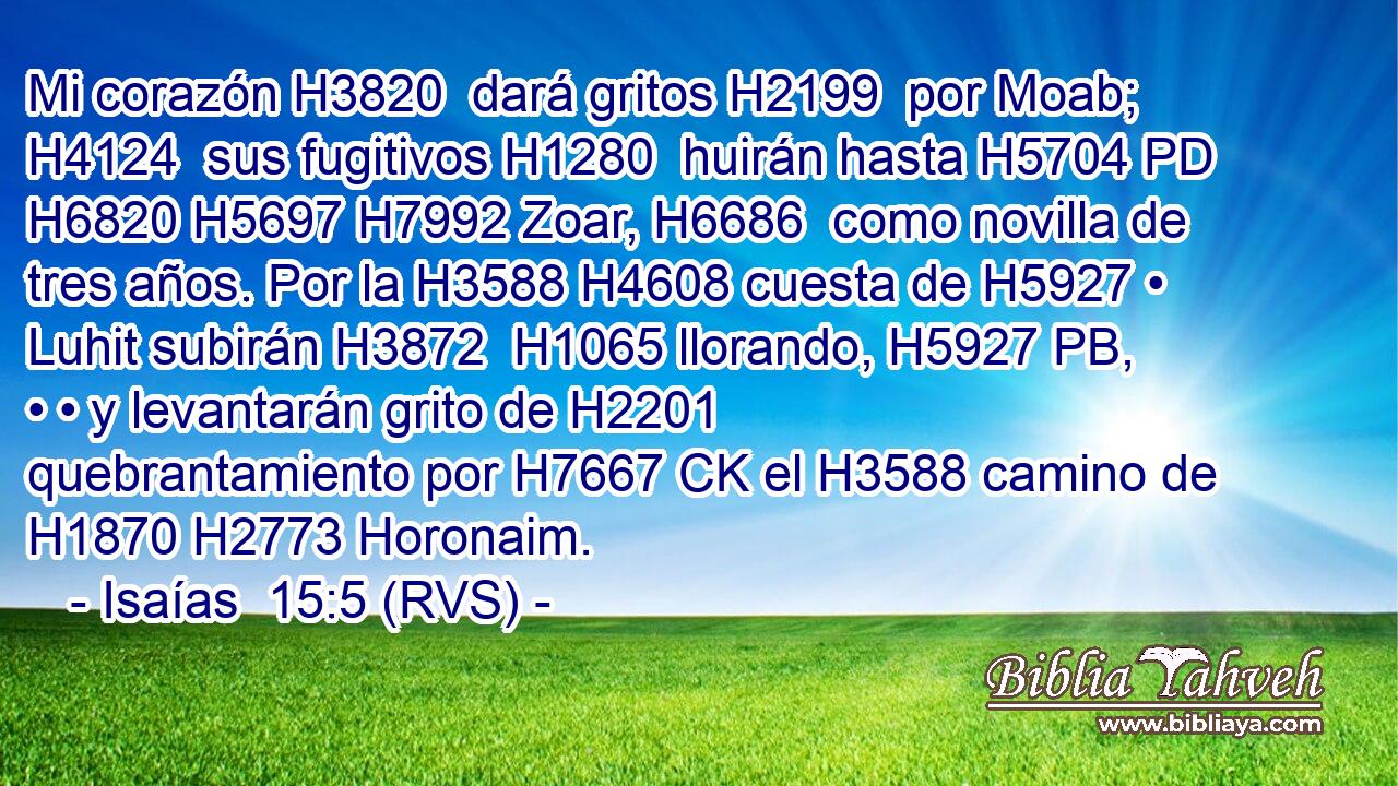 Mi corazón H3820  dará gritos H2199  por Moab; H4124  sus fugitivos H1280  huirán hasta H5704 PD H6820 H5697 H7992 Zoar, H6686  como novilla de tres años. Por la H3588 H4608 cuesta de H5927 • Luhit subirán H3872  H1065 llorando, H5927 PB,  • • y levantarán grito de H2201 quebrantamiento por H7667 CK el H3588 camino de H1870 H2773 Horonaim. 