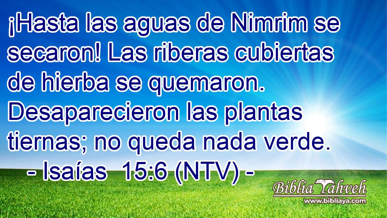 ¡Hasta las aguas de Nimrim se secaron! Las riberas cubiertas de hierba se quemaron. Desaparecieron las plantas tiernas; no queda nada verde.