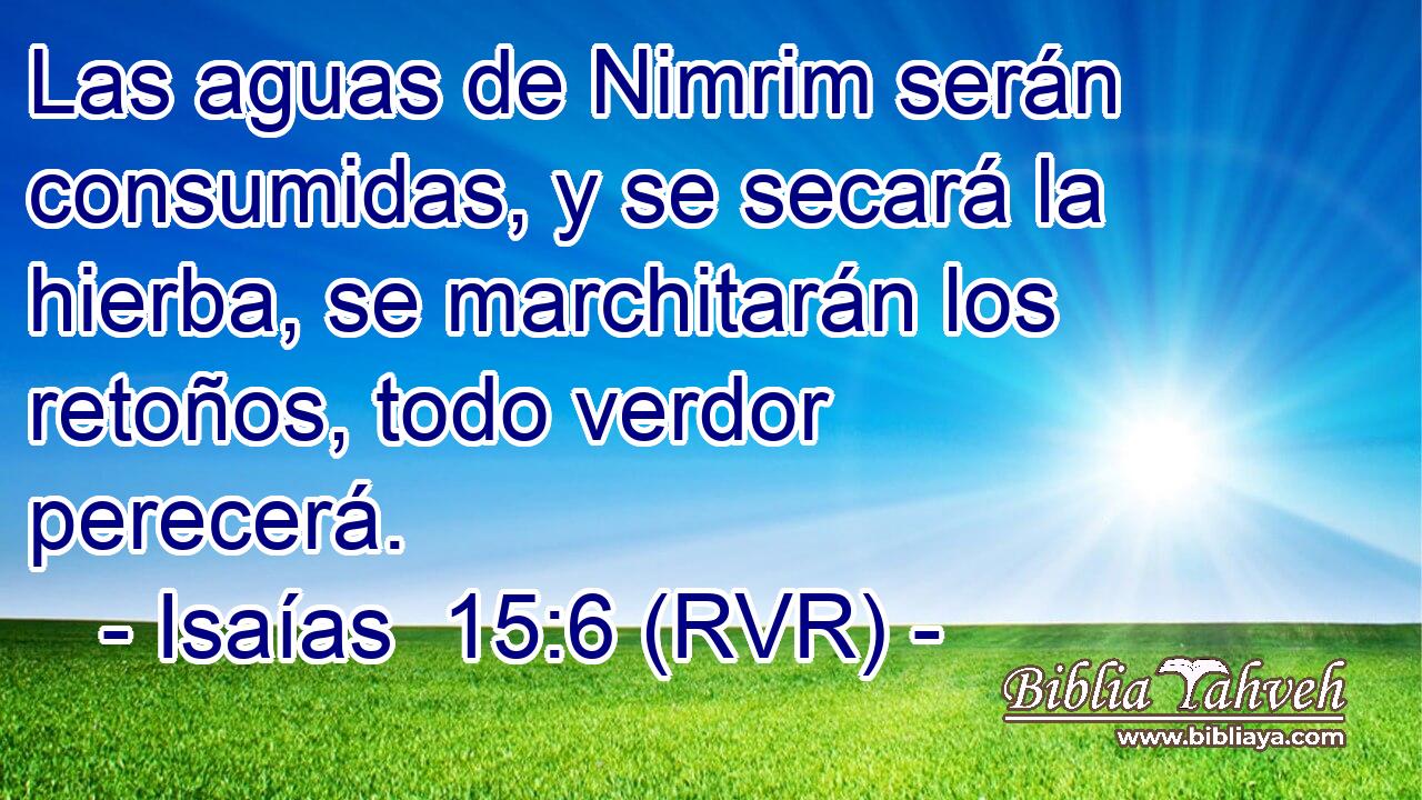 Las aguas de Nimrim serán consumidas, y se secará la hierba, se marchitarán los retoños, todo verdor perecerá.