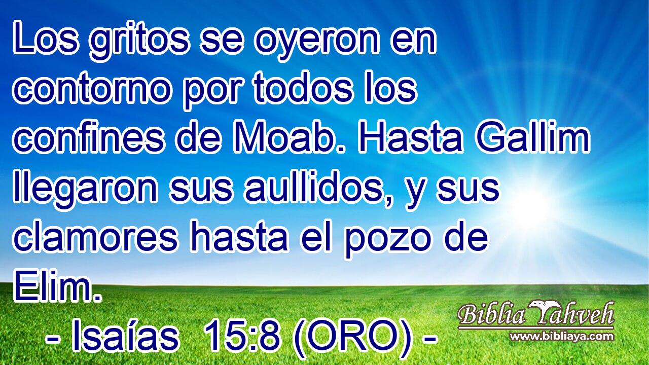  Los gritos se oyeron en contorno por todos los confines de Moab. Hasta Gallim llegaron sus aullidos, y sus clamores hasta el pozo de Elim. 