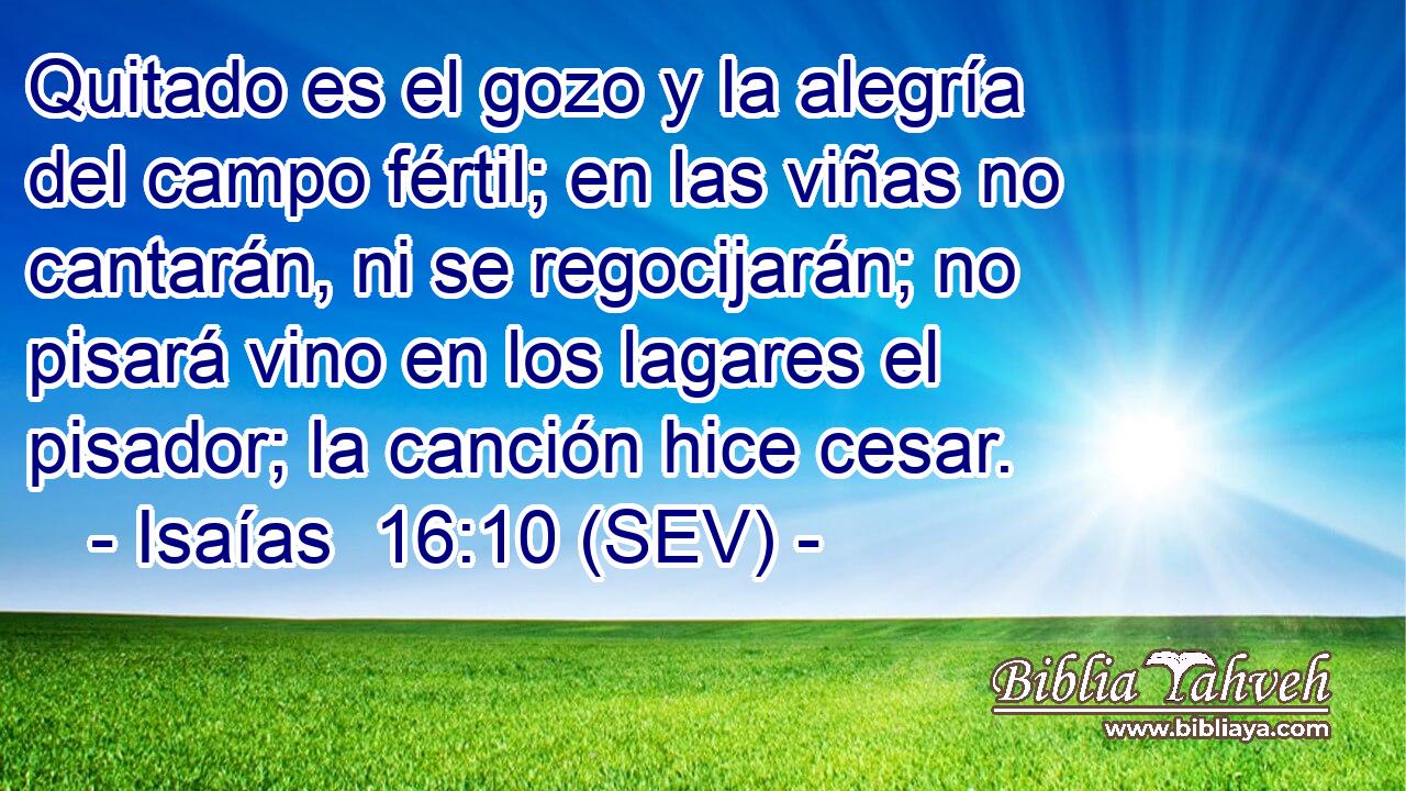 Quitado es el gozo y la alegría del campo fértil; en las viñas no cantarán, ni se regocijarán; no pisará vino en los lagares el pisador; la canción hice cesar.