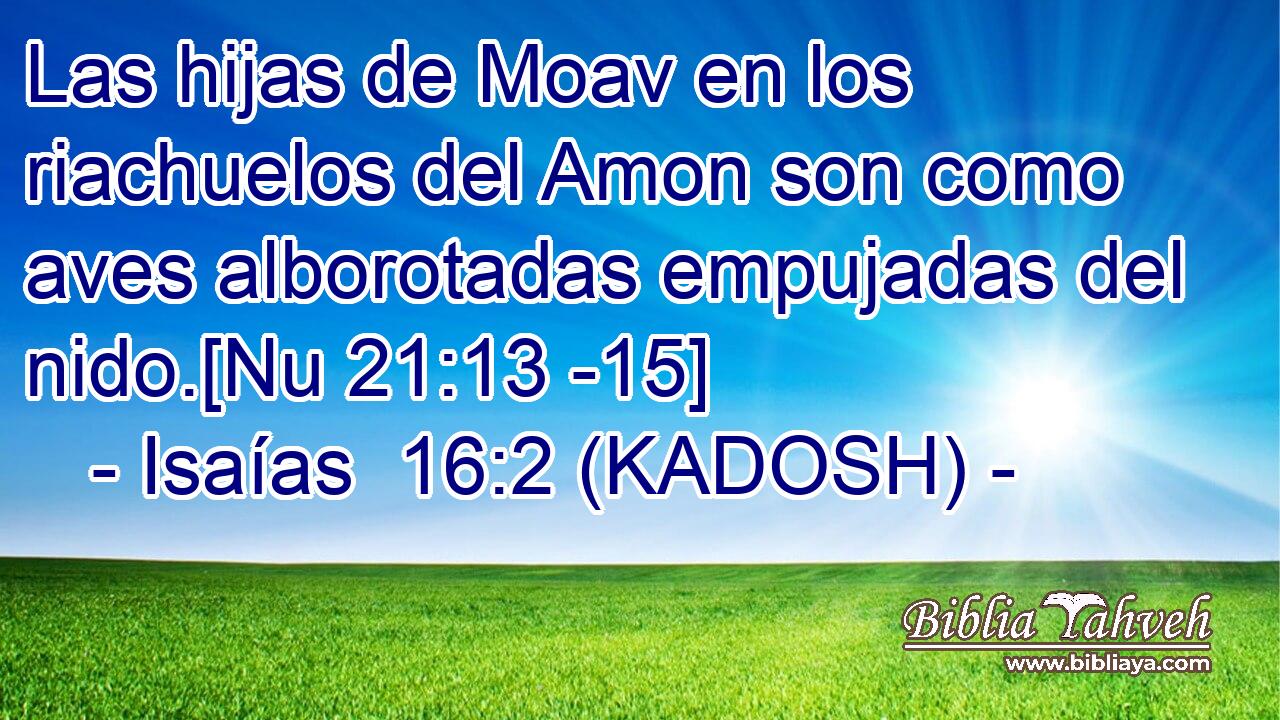  Las hijas de Moav en los riachuelos del Amon son como aves alborotadas empujadas del nido.[Nu 21:13 -15] 