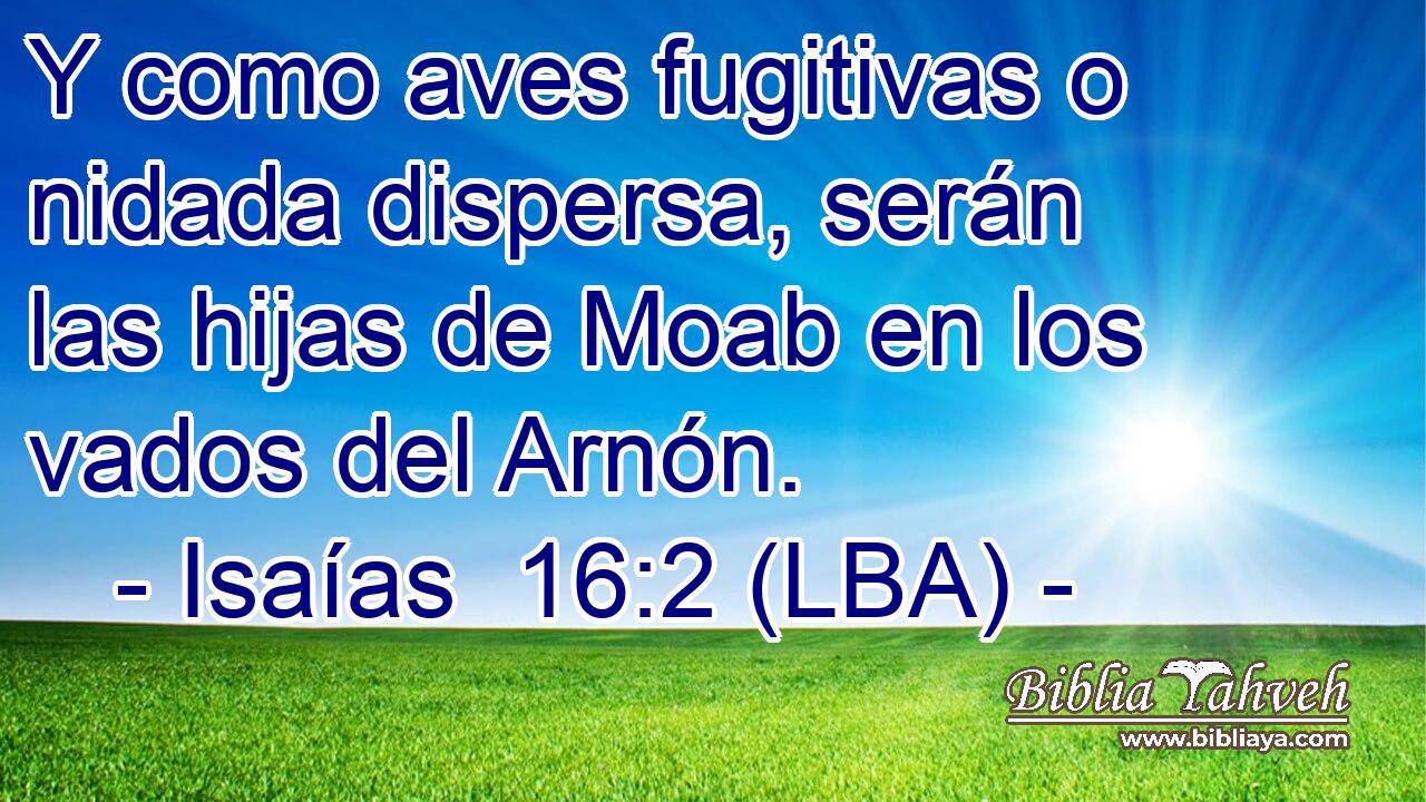 Y como aves fugitivas o nidada dispersa, serán las hijas de Moab en los vados del Arnón.