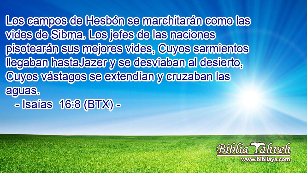 Los campos de Hesbón se marchitarán como las vides de Sibma. Los jefes de las naciones pisotearán sus mejores vides, Cuyos sarmientos llegaban hastaJazer y se desviaban al desierto, Cuyos vástagos se extendían y cruzaban las aguas.