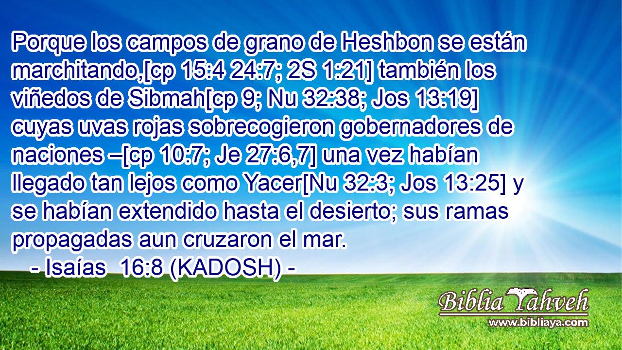 Porque los campos de grano de Heshbon se están marchitando,[cp 15:4 24:7; 2S 1:21] también los viñedos de Sibmah[cp 9; Nu 32:38; Jos 13:19] cuyas uvas rojas sobrecogieron gobernadores de naciones –[cp 10:7; Je 27:6,7] una vez habían llegado tan lejos como Yacer[Nu 32:3; Jos 13:25] y se habían extendido hasta el desierto; sus ramas propagadas aun cruzaron el mar. 