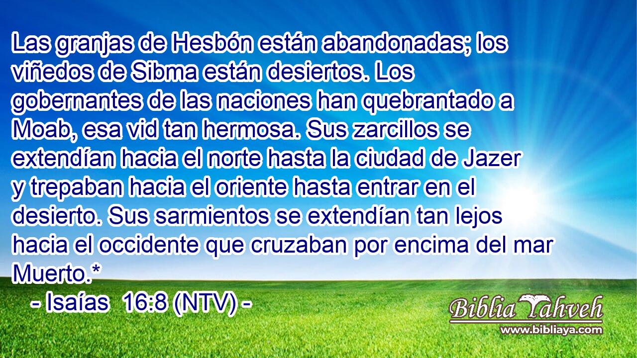 Las granjas de Hesbón están abandonadas; los viñedos de Sibma están desiertos. Los gobernantes de las naciones han quebrantado a Moab, esa vid tan hermosa. Sus zarcillos se extendían hacia el norte hasta la ciudad de Jazer y trepaban hacia el oriente hasta entrar en el desierto. Sus sarmientos se extendían tan lejos hacia el occidente que cruzaban por encima del mar Muerto.*