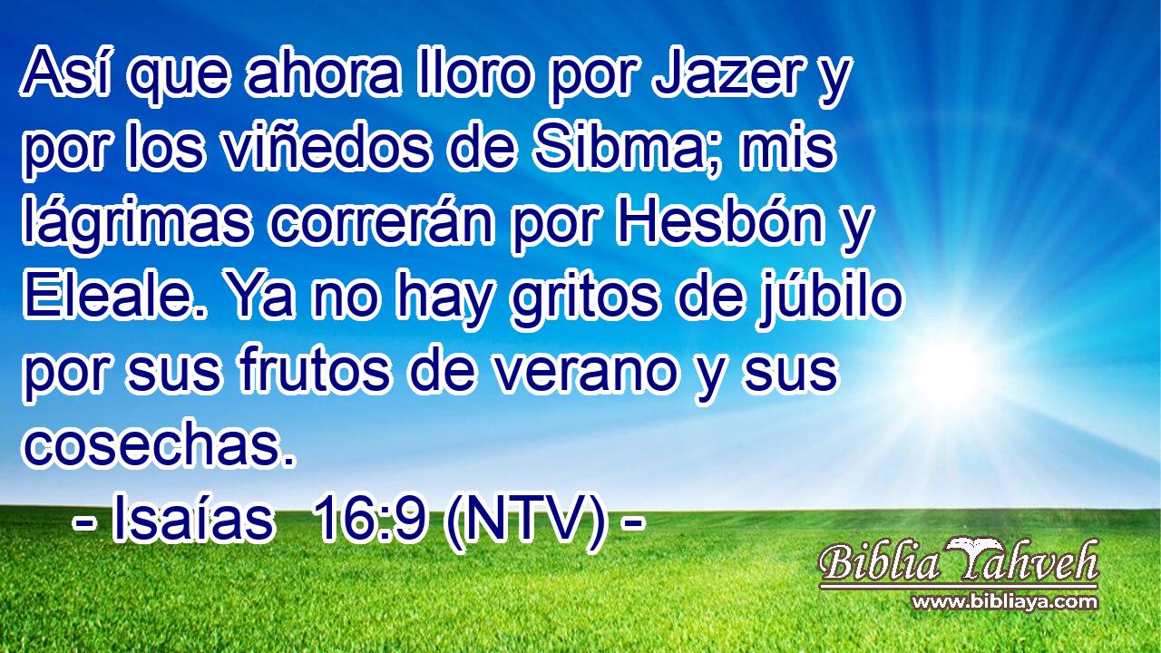 Así que ahora lloro por Jazer y por los viñedos de Sibma; mis lágrimas correrán por Hesbón y Eleale. Ya no hay gritos de júbilo por sus frutos de verano y sus cosechas.