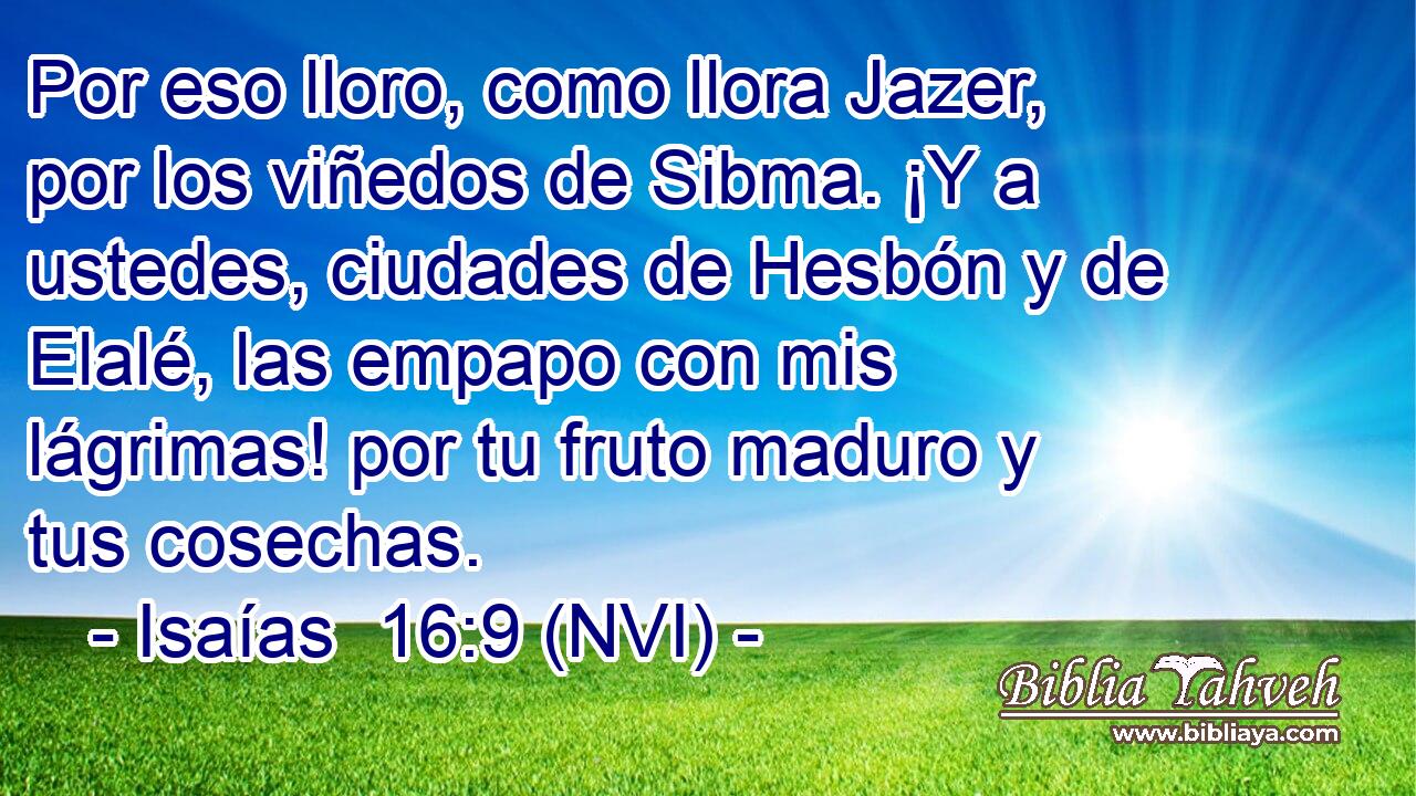  Por eso lloro, como llora Jazer, por los viñedos de Sibma. ¡Y a ustedes, ciudades de Hesbón y de Elalé, las empapo con mis lágrimas! por tu fruto maduro y tus cosechas. 