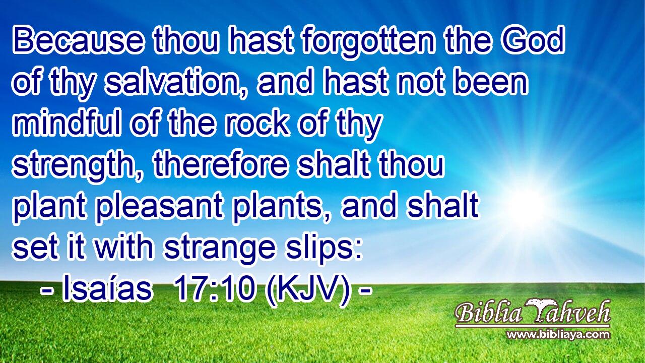 Because thou hast forgotten the God of thy salvation, and hast not been mindful of the rock of thy strength, therefore shalt thou plant pleasant plants, and shalt set it with strange slips: