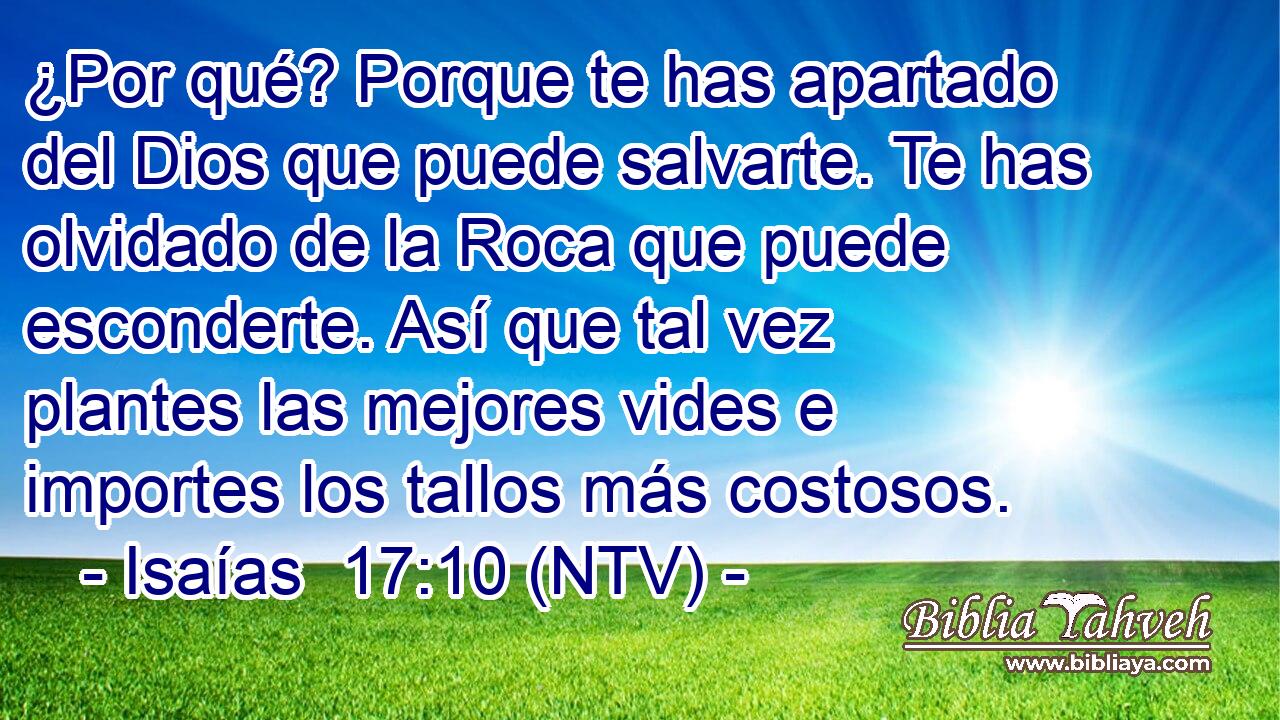 ¿Por qué? Porque te has apartado del Dios que puede salvarte. Te has olvidado de la Roca que puede esconderte. Así que tal vez plantes las mejores vides e importes los tallos más costosos.