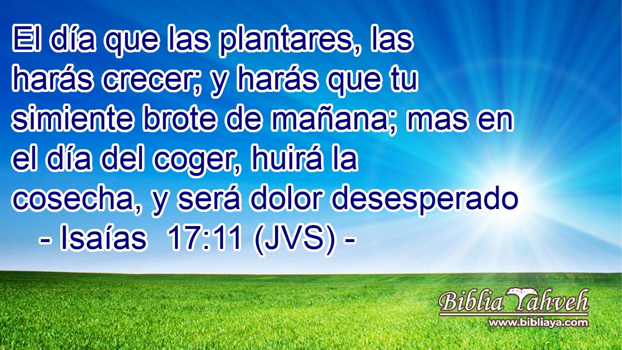 El día que las plantares, las harás crecer; y harás que tu simiente brote de mañana; mas en el día del coger, huirá la cosecha, y será dolor desesperado