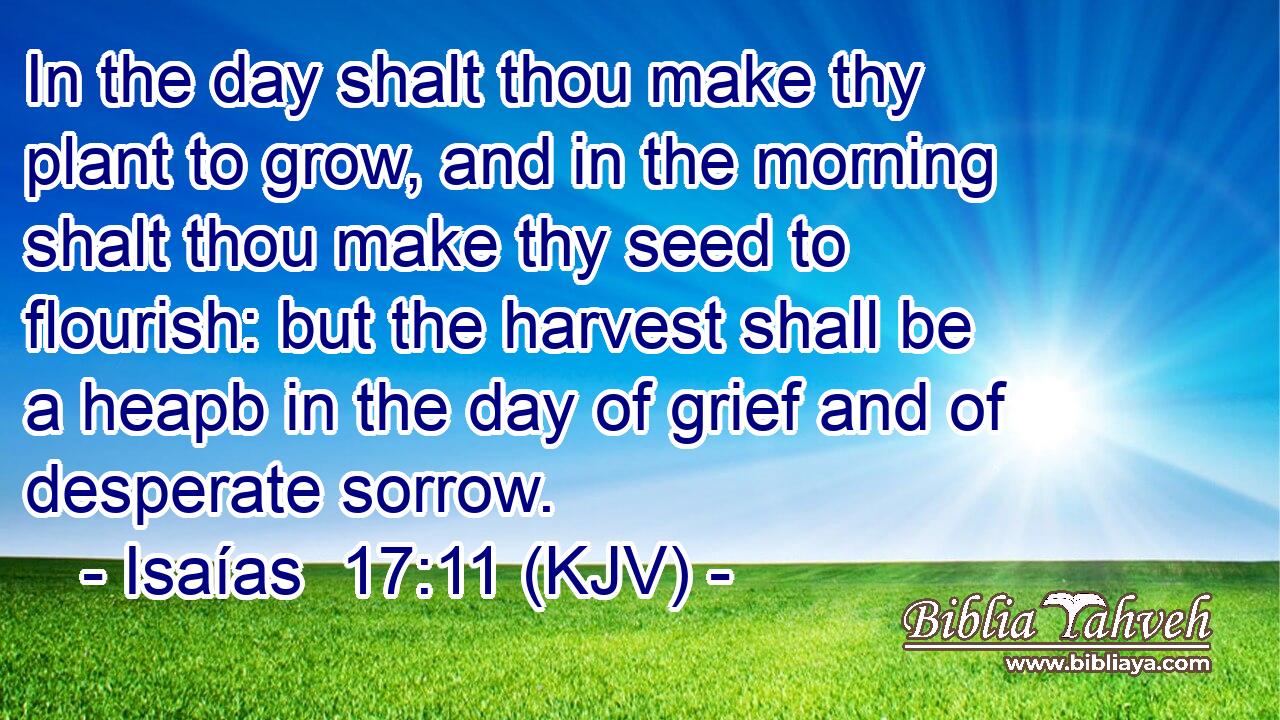 In the day shalt thou make thy plant to grow, and in the morning shalt thou make thy seed to flourish: but the harvest shall be a heapb in the day of grief and of desperate sorrow.