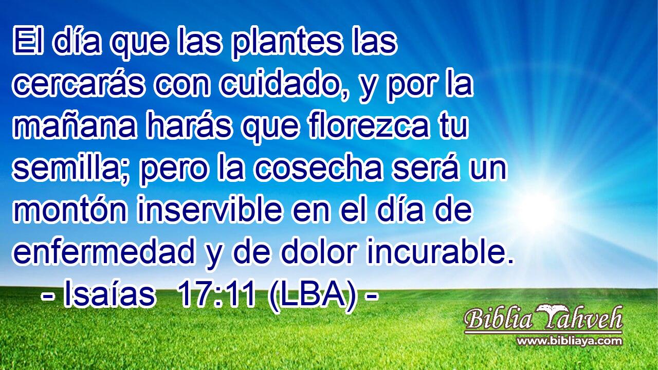 El día que las plantes las cercarás con cuidado, y por la mañana harás que florezca tu semilla; pero la cosecha será un montón inservible en el día de enfermedad y de dolor incurable.