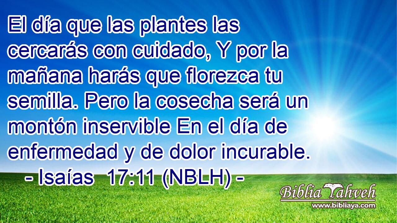  El día que las plantes las cercarás con cuidado, Y por la mañana harás que florezca tu semilla. Pero la cosecha será un montón inservible En el día de enfermedad y de dolor incurable. 