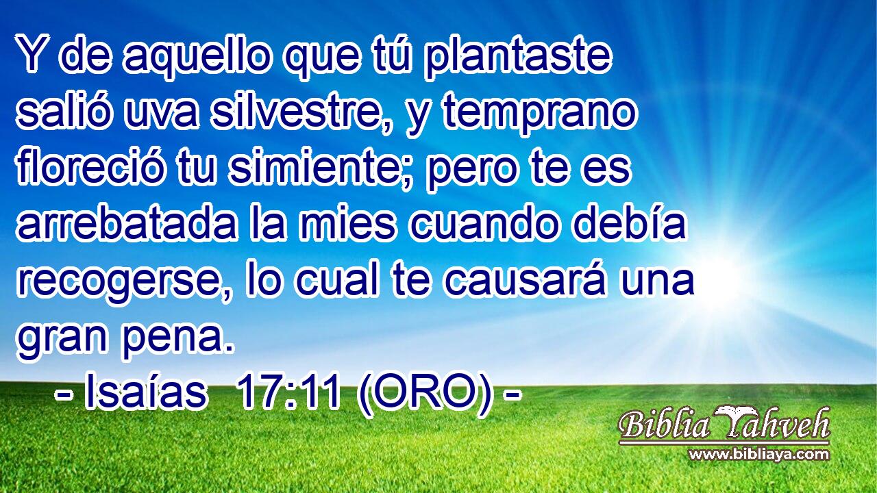  Y de aquello que tú plantaste salió uva silvestre, y temprano floreció tu simiente; pero te es arrebatada la mies cuando debía recogerse, lo cual te causará una gran pena. 