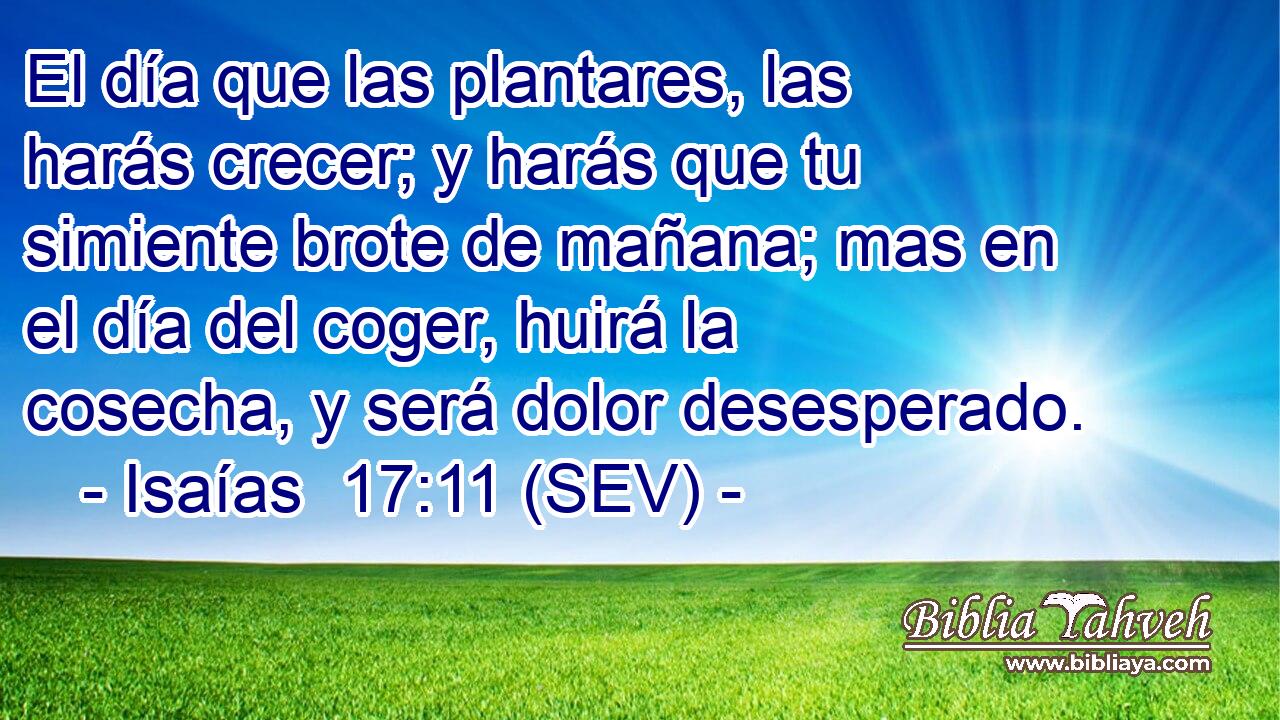 El día que las plantares, las harás crecer; y harás que tu simiente brote de mañana; mas en el día del coger, huirá la cosecha, y será dolor desesperado.