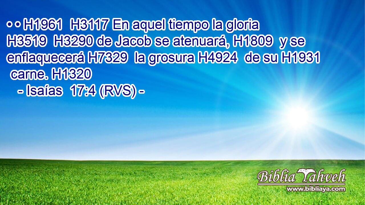 • • H1961  H3117 En aquel tiempo la gloria H3519  H3290 de Jacob se atenuará, H1809  y se enflaquecerá H7329  la grosura H4924  de su H1931  carne. H1320  