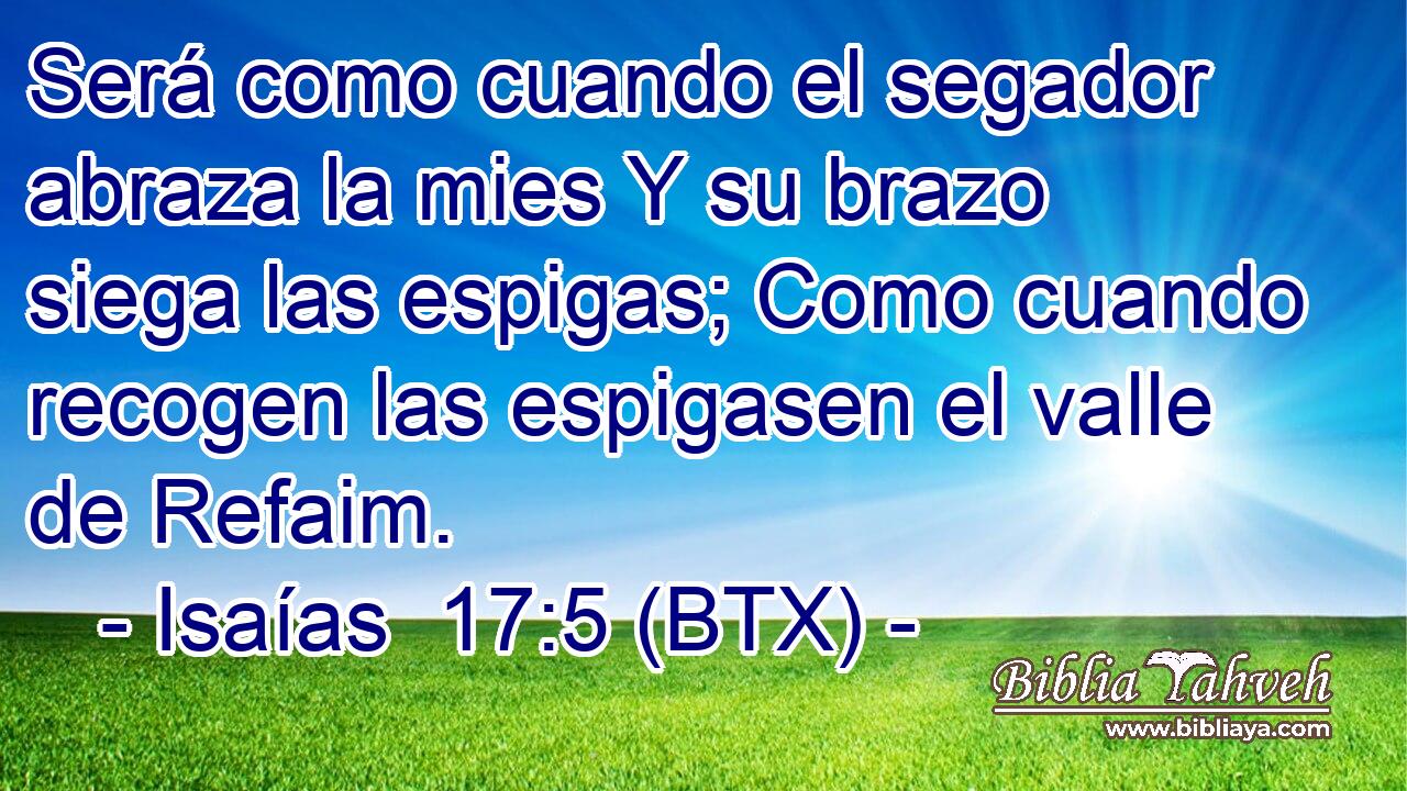 Será como cuando el segador abraza la mies Y su brazo siega las espigas; Como cuando recogen las espigasen el valle de Refaim.