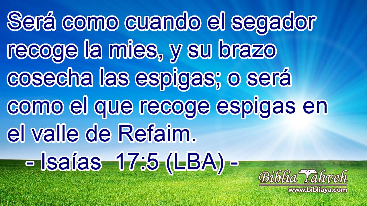 Será como cuando el segador recoge la mies, y su brazo cosecha las espigas; o será como el que recoge espigas en el valle de Refaim.