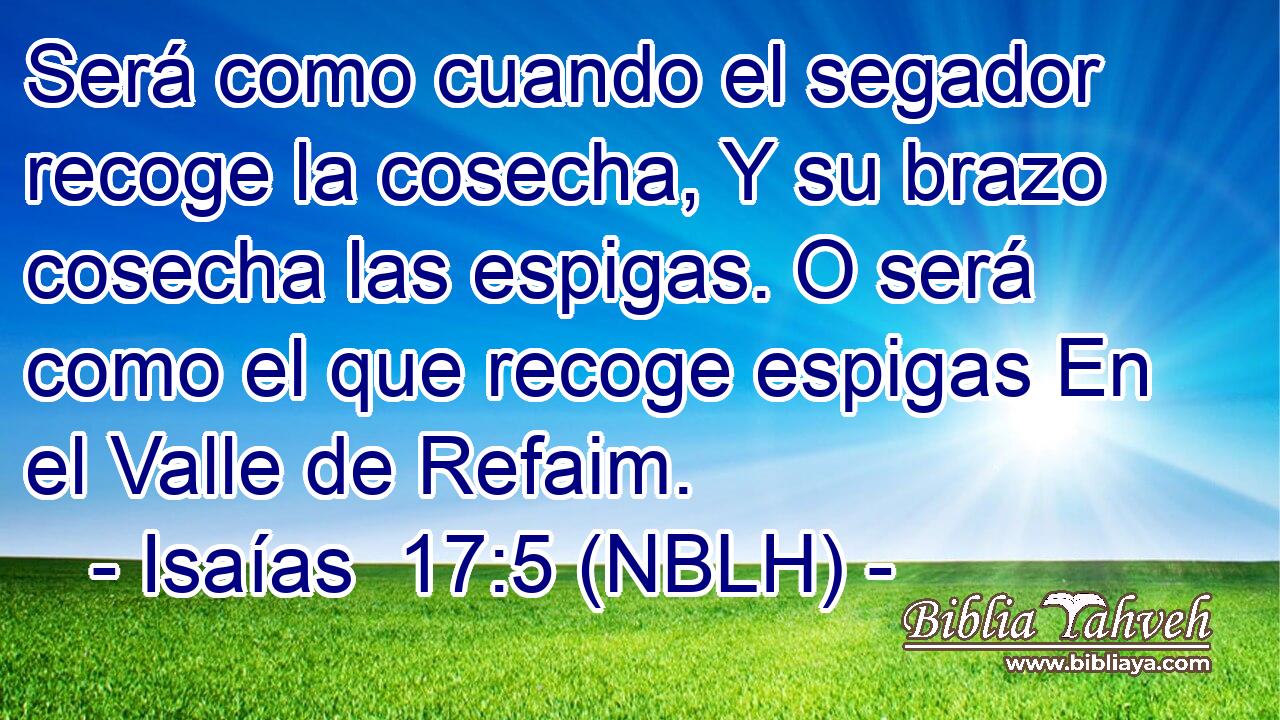  Será como cuando el segador recoge la cosecha, Y su brazo cosecha las espigas. O será como el que recoge espigas En el Valle de Refaim. 