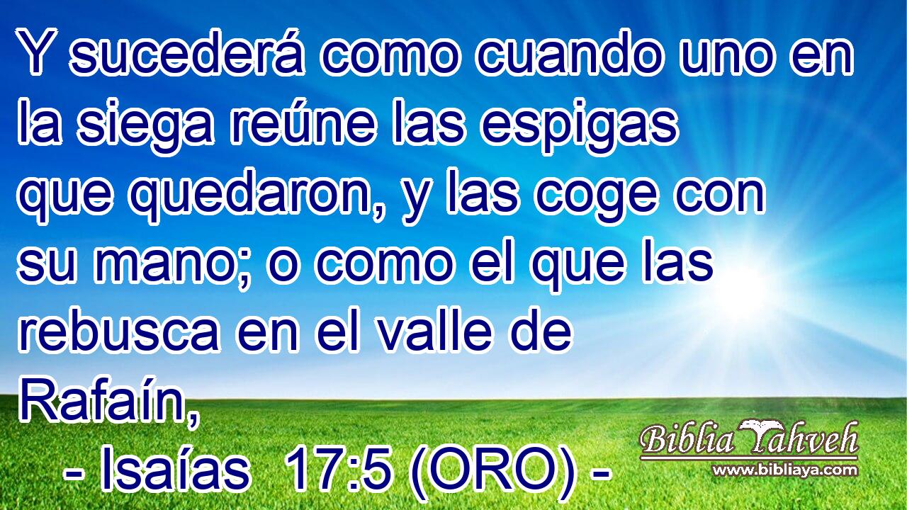  Y sucederá como cuando uno en la siega reúne las espigas que quedaron, y las coge con su mano; o como el que las rebusca en el valle de Rafaín, 