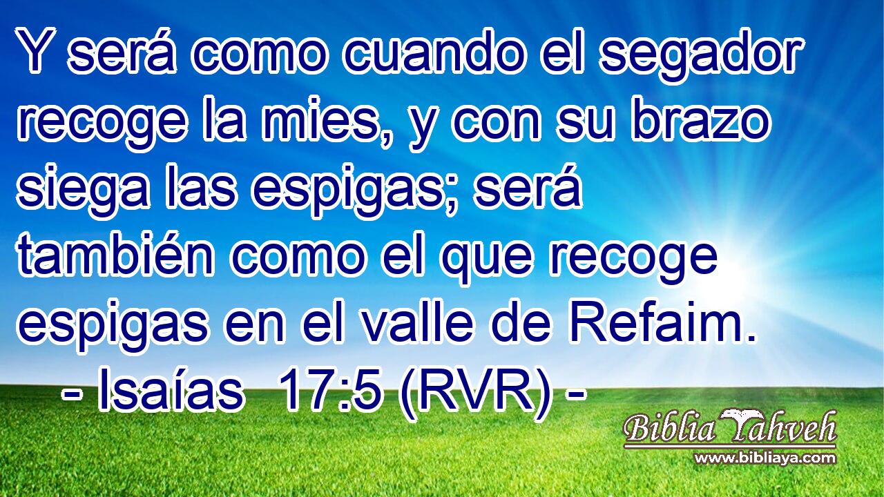 Y será como cuando el segador recoge la mies, y con su brazo siega las espigas; será también como el que recoge espigas en el valle de Refaim.