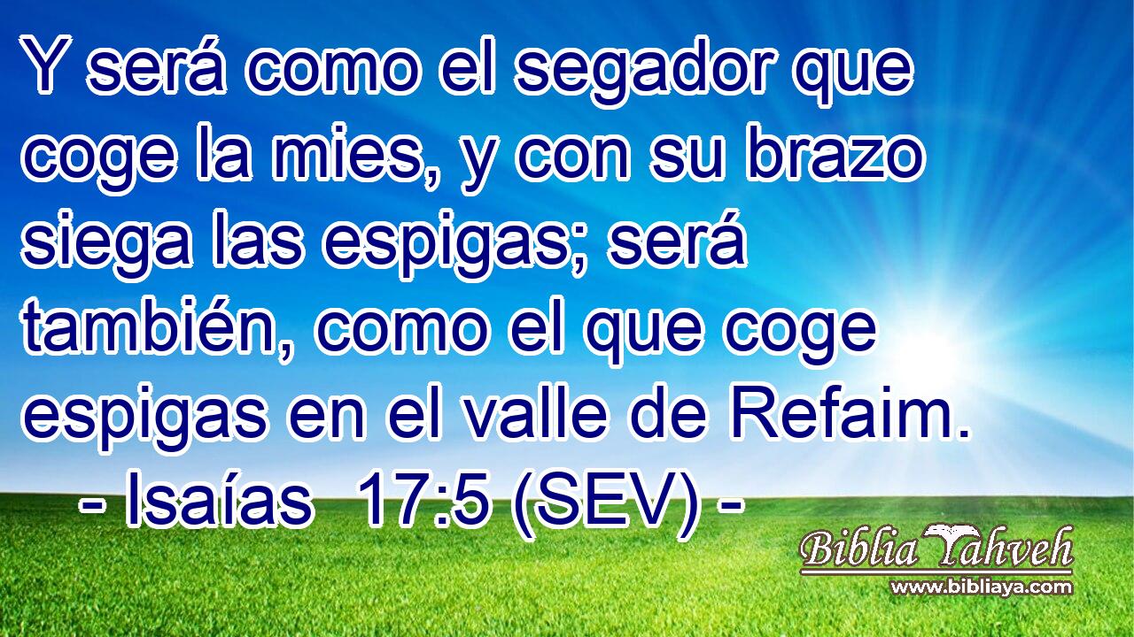 Y será como el segador que coge la mies, y con su brazo siega las espigas; será también, como el que coge espigas en el valle de Refaim.
