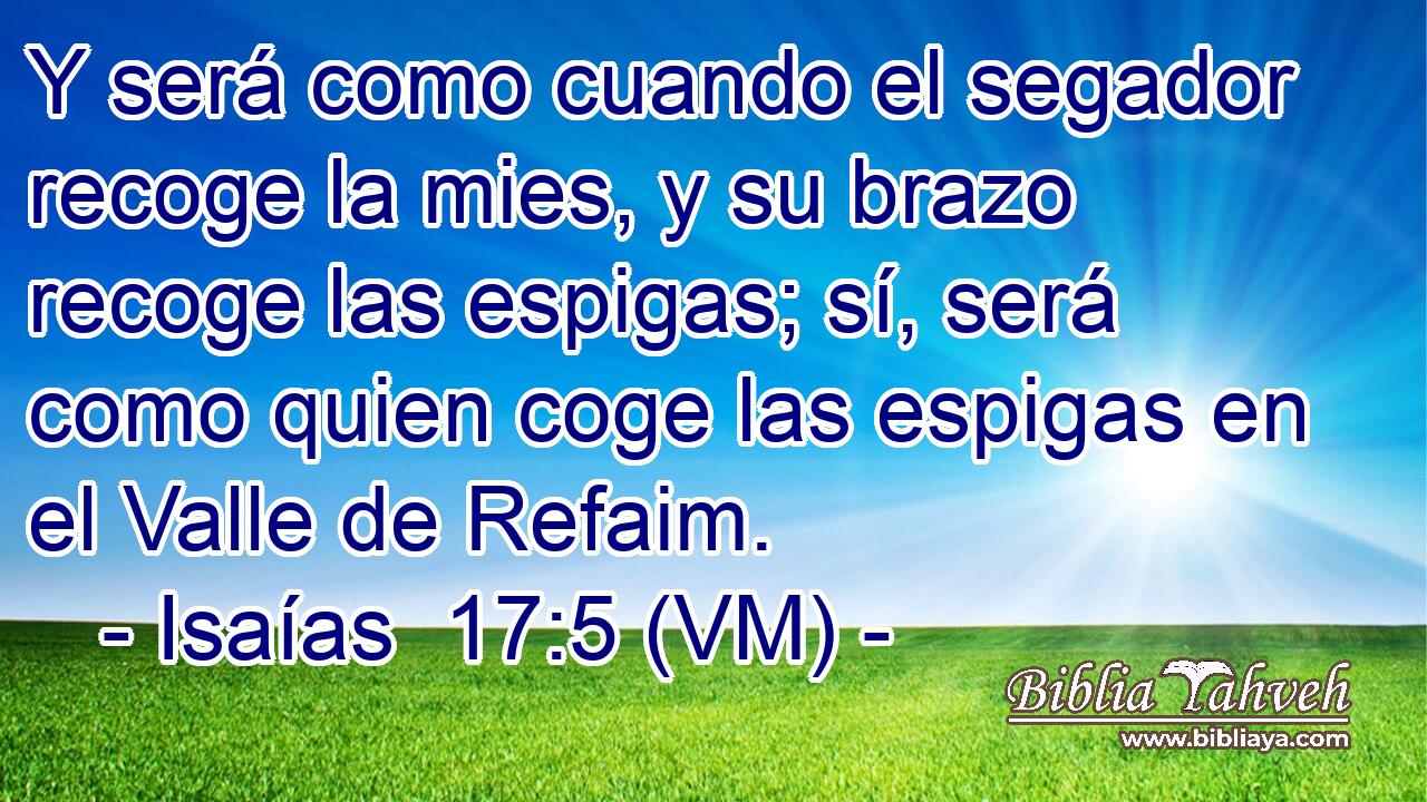  Y será como cuando el segador recoge la mies, y su brazo recoge las espigas; sí, será como quien coge las espigas en el Valle de Refaim. 