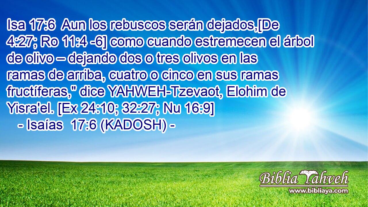  Aun los rebuscos serán dejados,[De 4:27; Ro 11:4 -6] como cuando estremecen el árbol de olivo – dejando dos o tres olivos en las ramas de arriba, cuatro o cinco en sus ramas fructíferas,