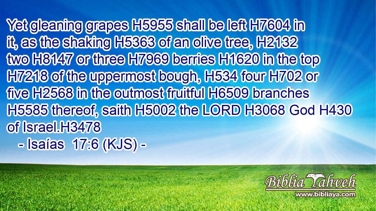 Yet gleaning grapes H5955 shall be left H7604 in it, as the shaking H5363 of an olive tree, H2132 two H8147 or three H7969 berries H1620 in the top H7218 of the uppermost bough, H534 four H702 or five H2568 in the outmost fruitful H6509 branches H5585 thereof, saith H5002 the LORD H3068 God H430 of Israel.H3478