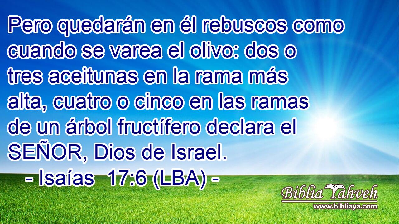 Pero quedarán en él rebuscos como cuando se varea el olivo: dos o tres aceitunas en la rama más alta, cuatro o cinco en las ramas de un árbol fructífero declara el SEÑOR, Dios de Israel.