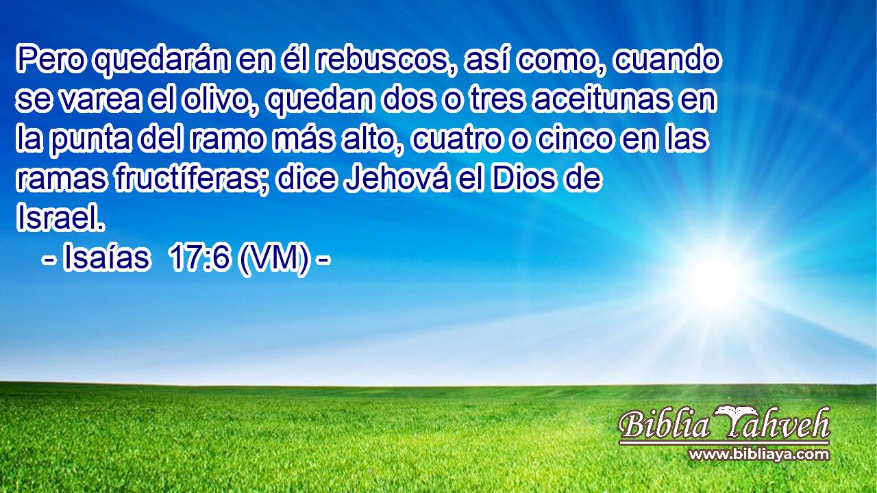  Pero quedarán en él rebuscos, así como, cuando se varea el olivo, quedan dos o tres aceitunas en la punta del ramo más alto, cuatro o cinco en las ramas fructíferas; dice Jehová el Dios de Israel. 