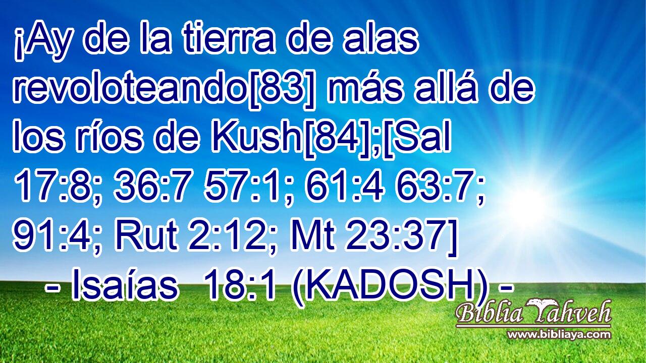  ¡Ay de la tierra de alas revoloteando[83] más allá de los ríos de Kush[84];[Sal 17:8; 36:7 57:1; 61:4 63:7; 91:4; Rut 2:12; Mt 23:37] 