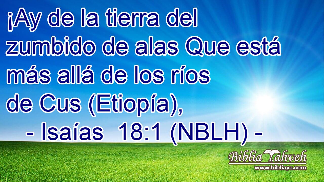  ¡Ay de la tierra del zumbido de alas Que está más allá de los ríos de Cus (Etiopía), 