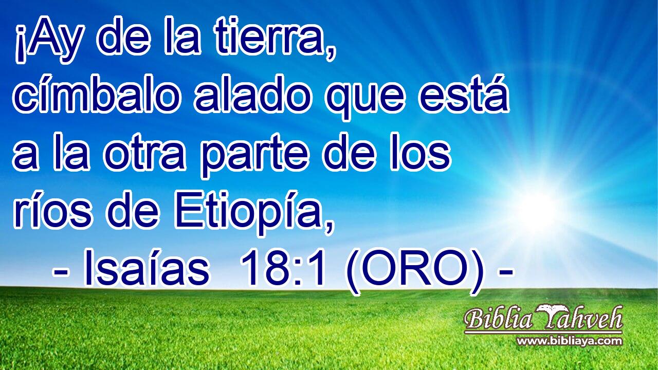  ¡Ay de la tierra, címbalo alado que está a la otra parte de los ríos de Etiopía, 