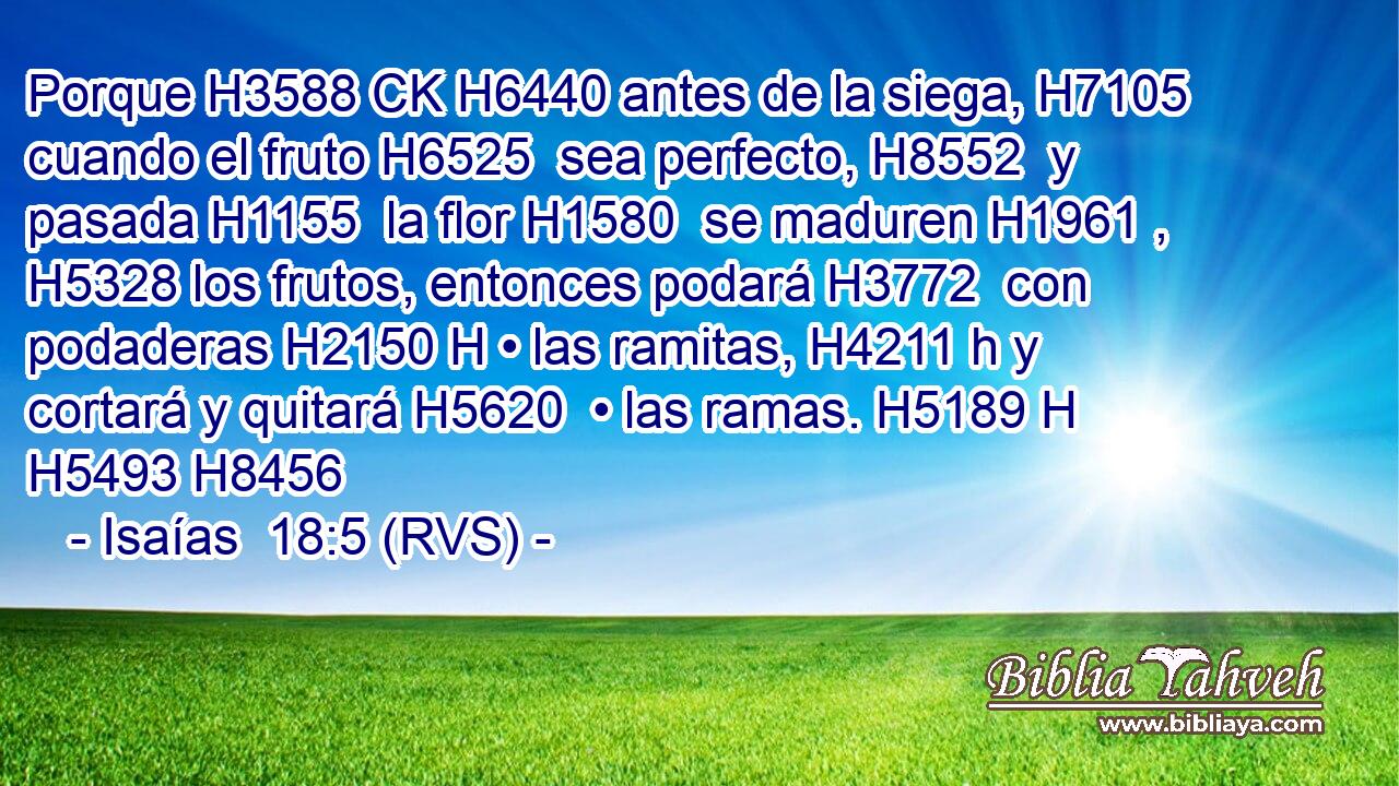 Porque H3588 CK H6440 antes de la siega, H7105  cuando el fruto H6525  sea perfecto, H8552  y pasada H1155  la flor H1580  se maduren H1961 ,  H5328 los frutos, entonces podará H3772  con podaderas H2150 H • las ramitas, H4211 h y cortará y quitará H5620  • las ramas. H5189 H H5493 H8456 