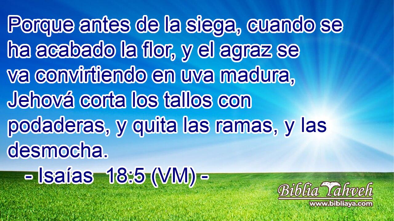  Porque antes de la siega, cuando se ha acabado la flor, y el agraz se va convirtiendo en uva madura, Jehová corta los tallos con podaderas, y quita las ramas, y las desmocha. 