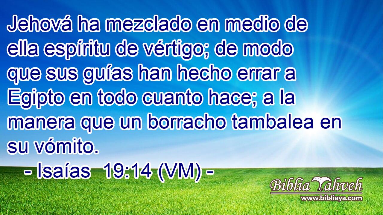  Jehová ha mezclado en medio de ella espíritu de vértigo; de modo que sus guías han hecho errar a Egipto en todo cuanto hace; a la manera que un borracho tambalea en su vómito. 