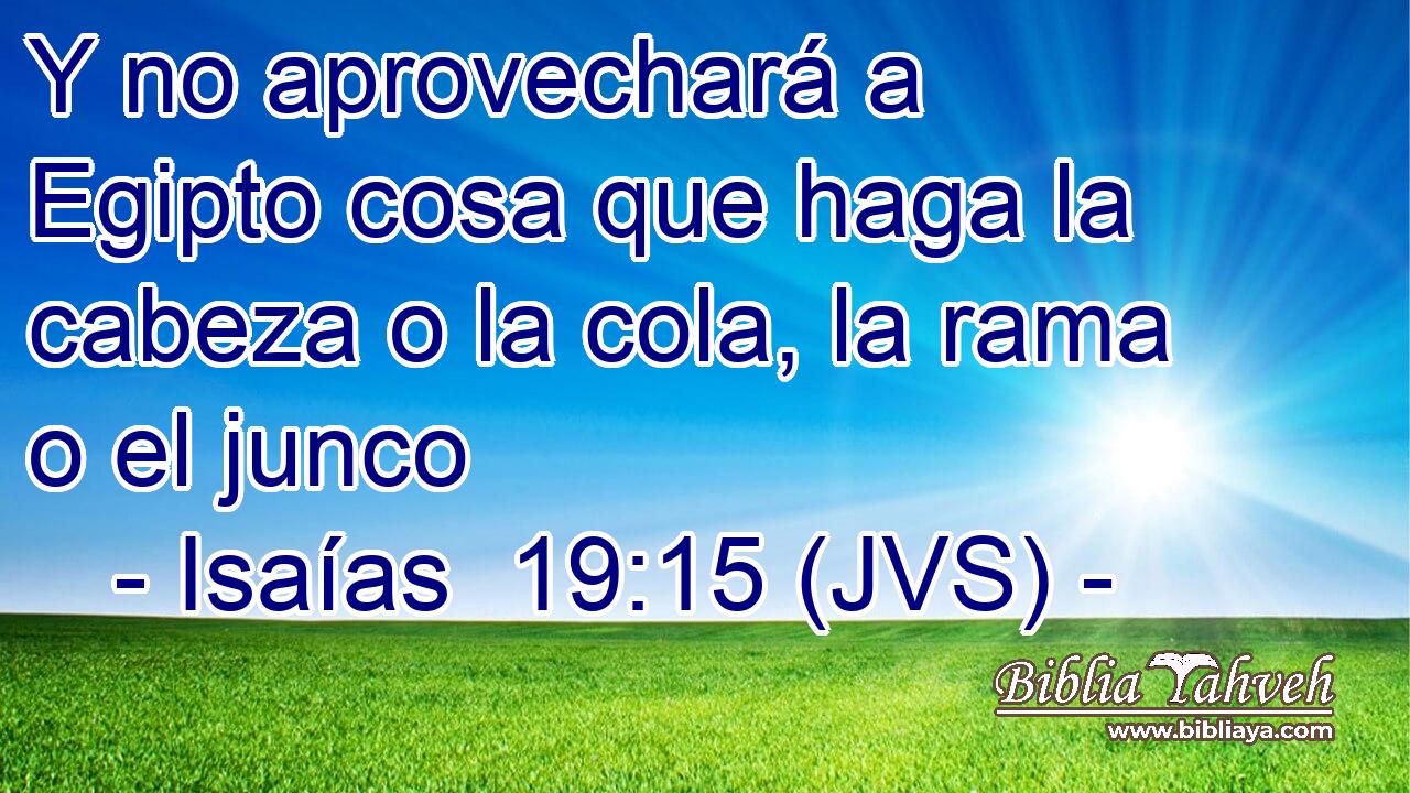Y no aprovechará a Egipto cosa que haga la cabeza o la cola, la rama o el junco