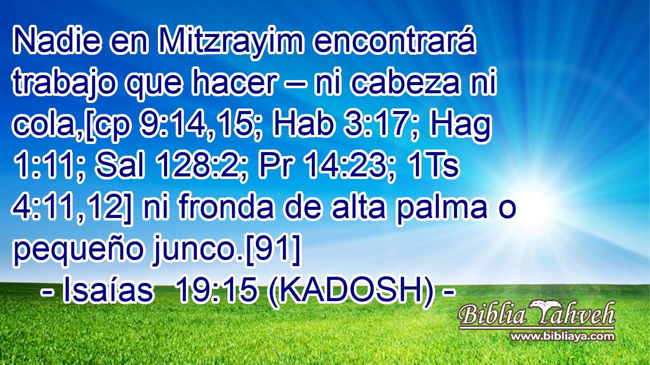  Nadie en Mitzrayim encontrará trabajo que hacer – ni cabeza ni cola,[cp 9:14,15; Hab 3:17; Hag 1:11; Sal 128:2; Pr 14:23; 1Ts 4:11,12] ni fronda de alta palma o pequeño junco.[91] 