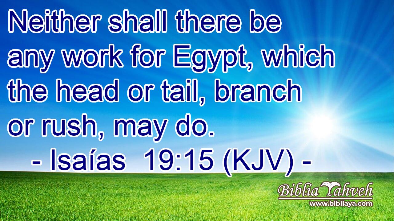 Neither shall there be any work for Egypt, which the head or tail, branch or rush, may do.