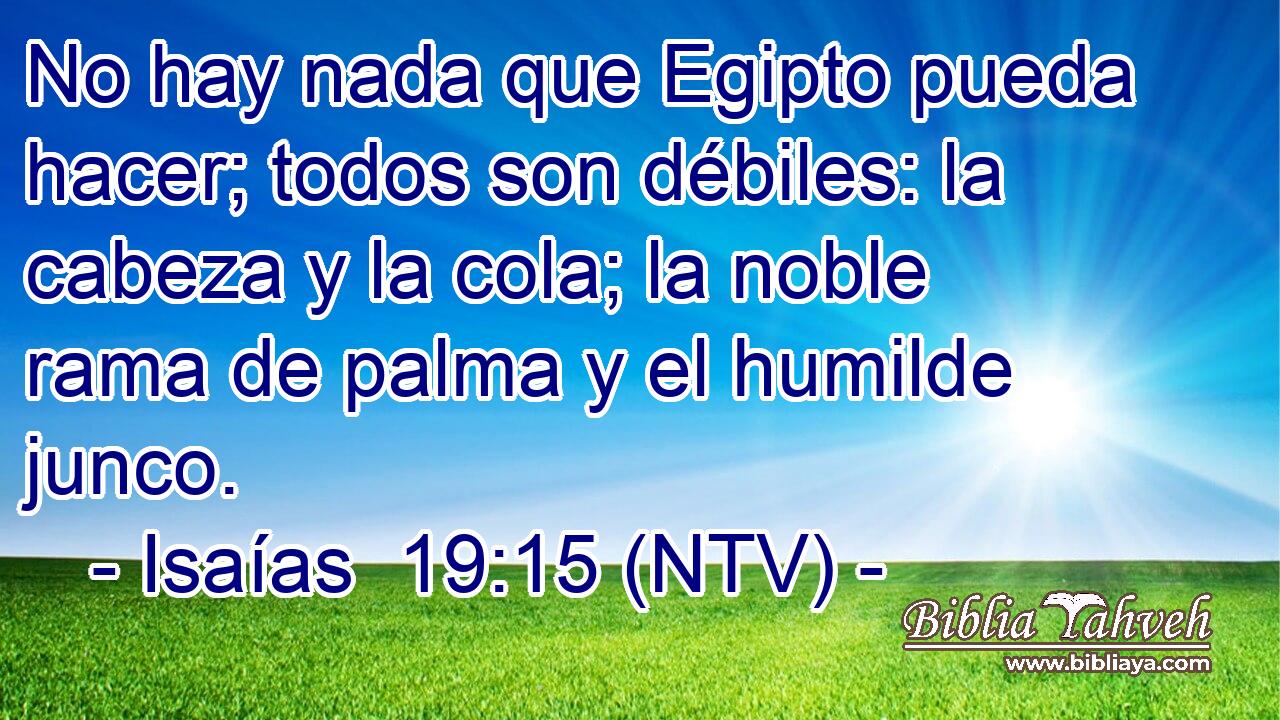 No hay nada que Egipto pueda hacer; todos son débiles: la cabeza y la cola; la noble rama de palma y el humilde junco.